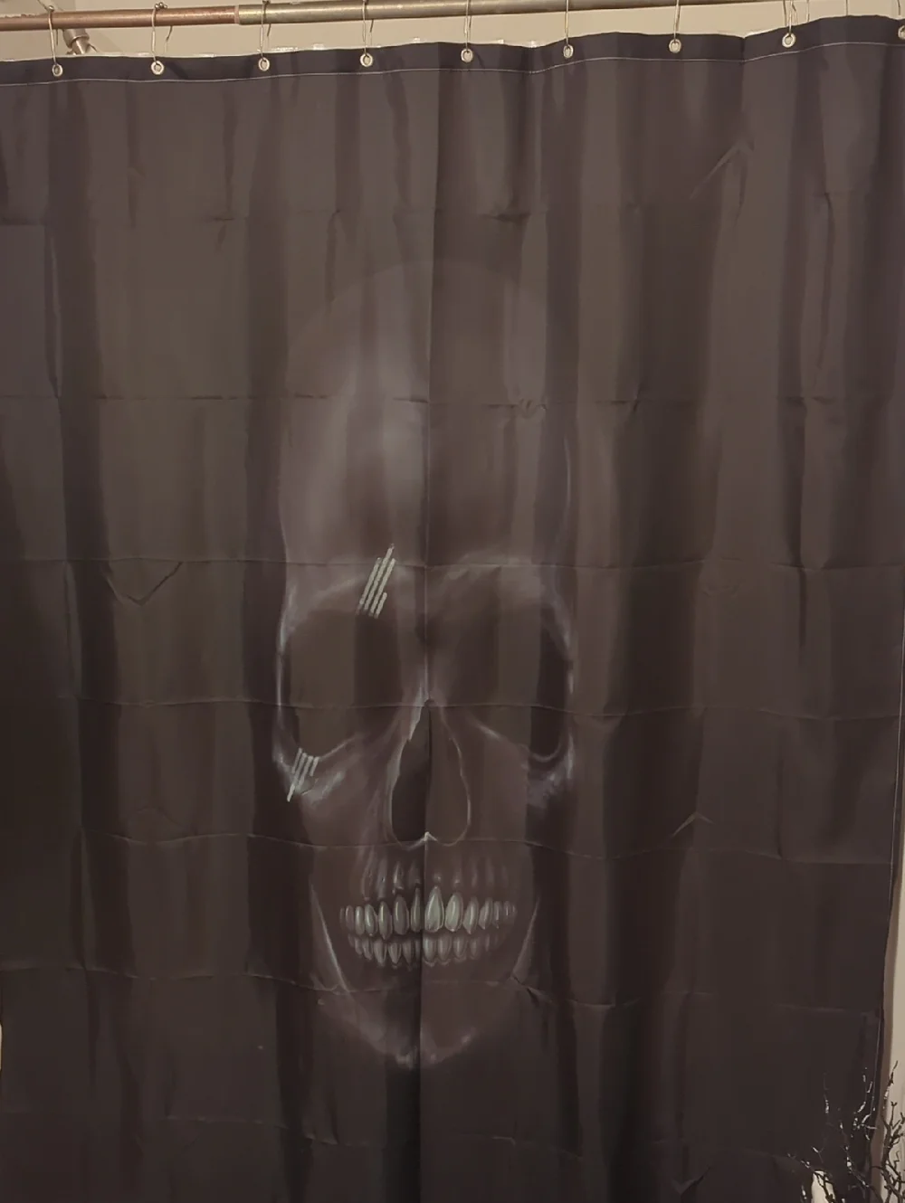 Skull Graphic Black Shower Curtain - Unbranded